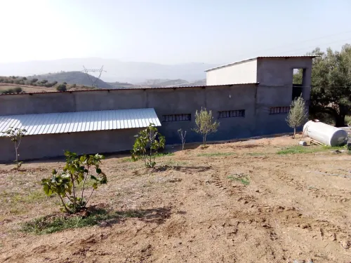 Location Hangar Bouira Aomar