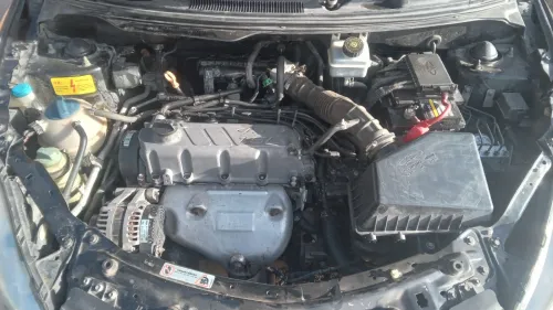 Chery Fulwin 2016 A13A