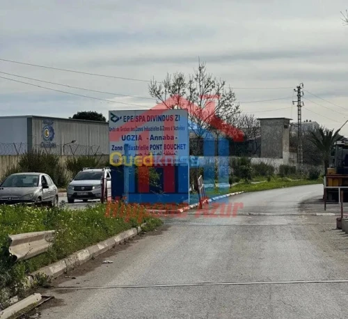 Cherche location Hangar - Usine Annaba Annaba