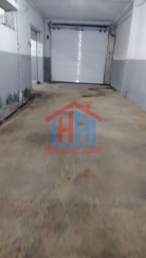 Location Hangar - Usine Annaba El hadjar