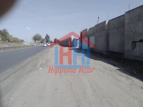 Location Hangar - Usine Annaba Annaba