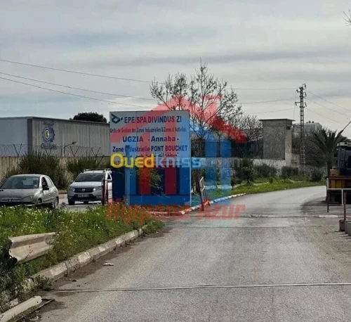 Location Hangar - Usine Annaba Annaba