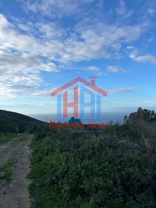 Vente Terrain Annaba Annaba