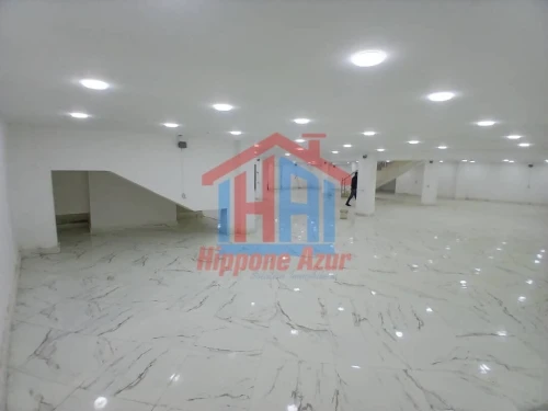 Location Local Annaba Annaba