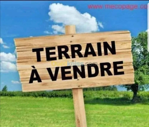 Vente Terrain Annaba Annaba