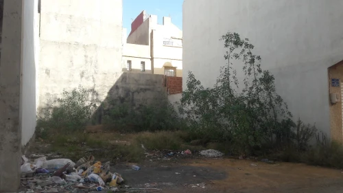 Vente Terrain Oran Bir el djir