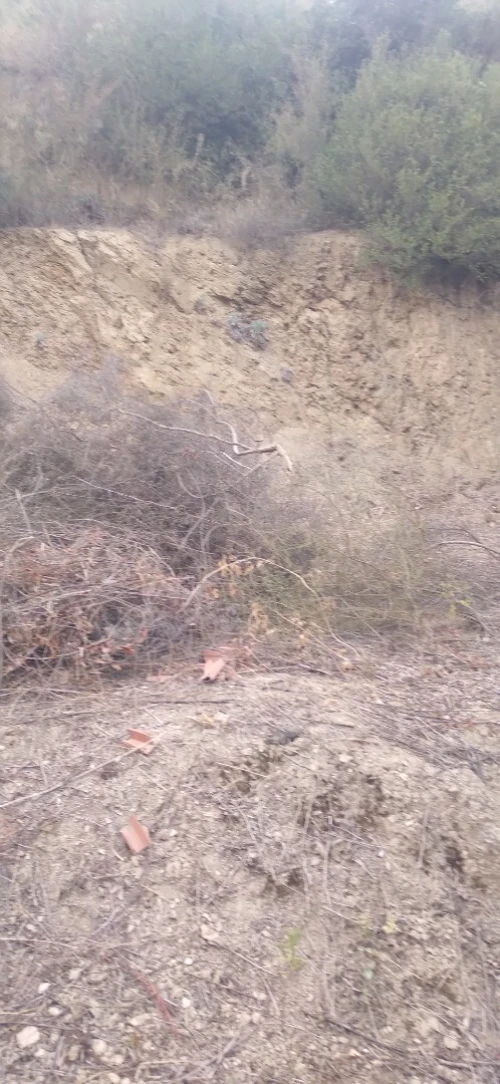 Vente Terrain Béjaïa Bejaia