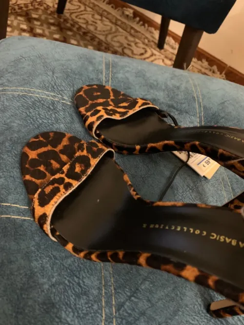 Talons Zara