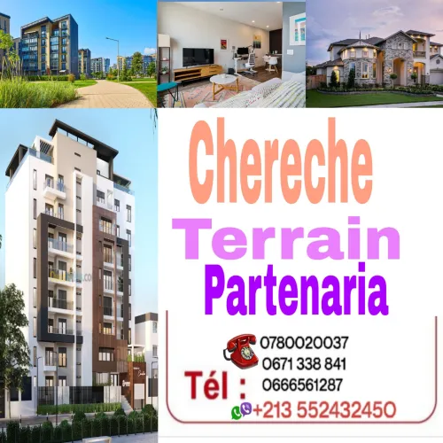 Cherche achat Terrain Oran Es senia