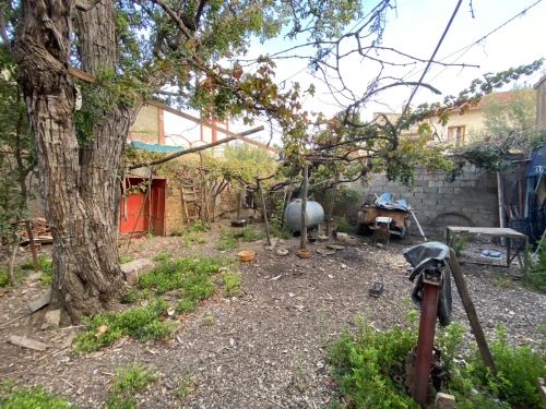 Location Hangar Chlef Tenes