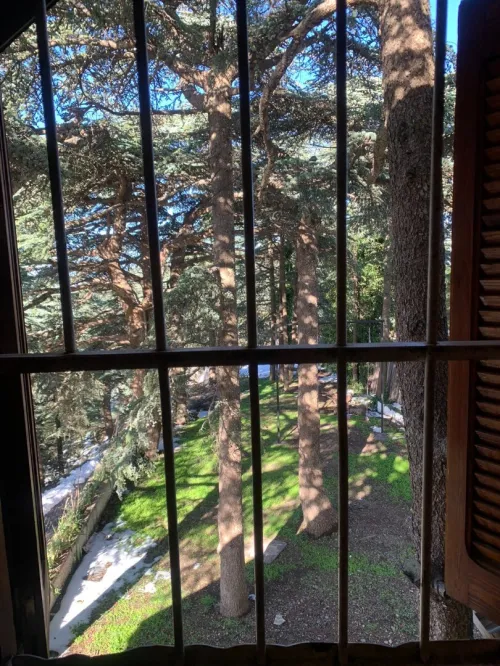 Location bien immobilier Blida Chrea