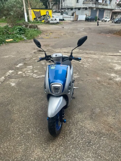 Vms Curious 2 2024