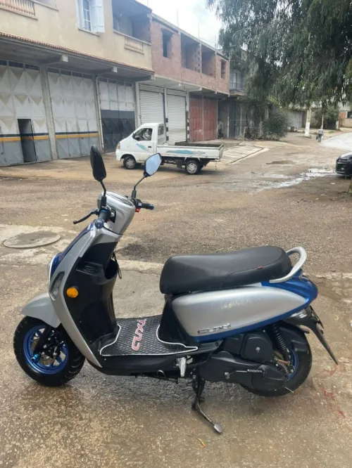 Vms Curious 2 2024