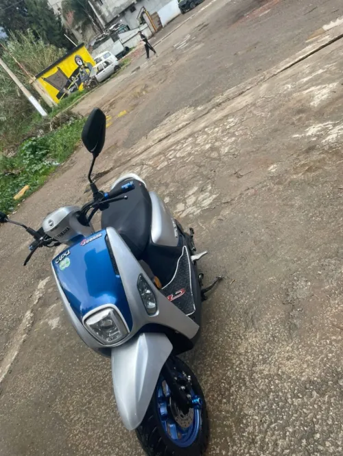 Vms Curious 2 2024
