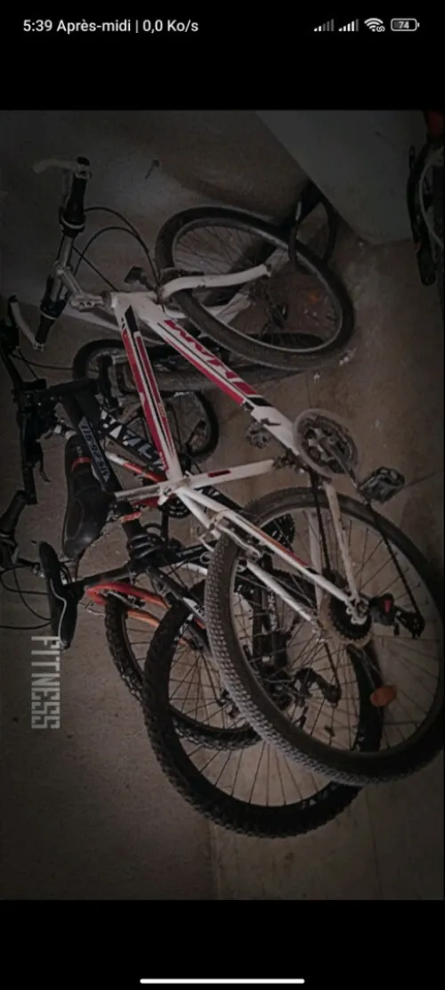 HAM_MTB MTB 2021