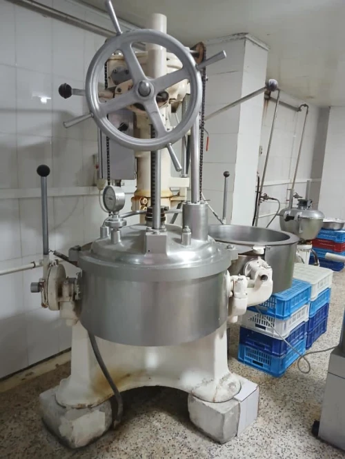 Cuiseur double bags français 160 kg Inox