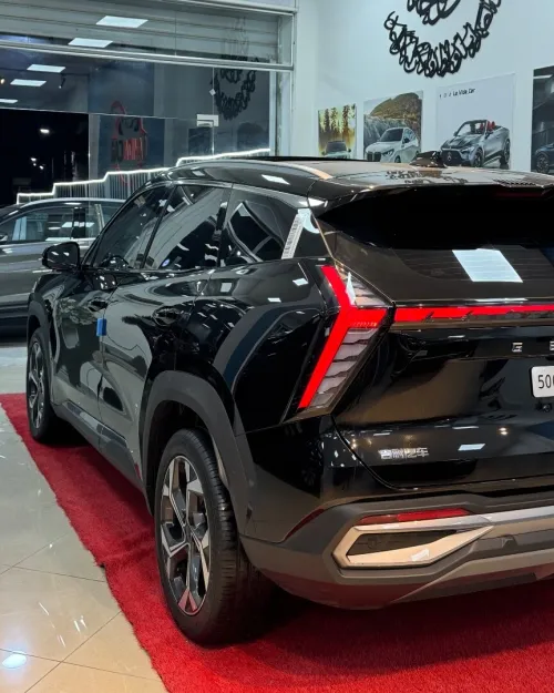 Geely CITYRAY 2025 L