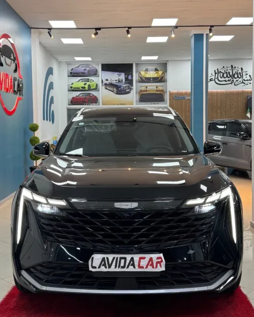 Geely CITYRAY 2025 L