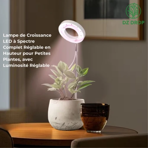 Lampes de Croissance pour plantes