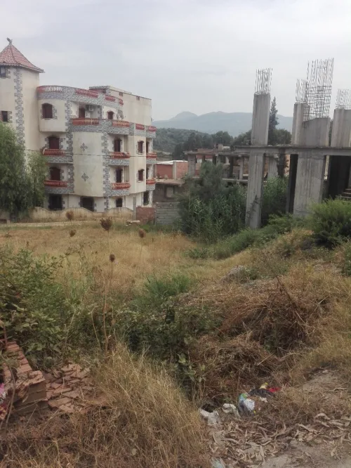 Vente Terrain Boumerdès Beni amrane