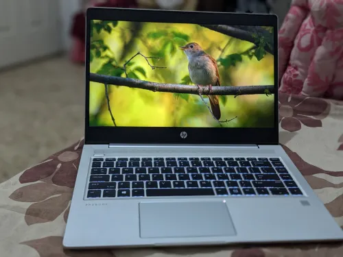 HP Probook 445 G7