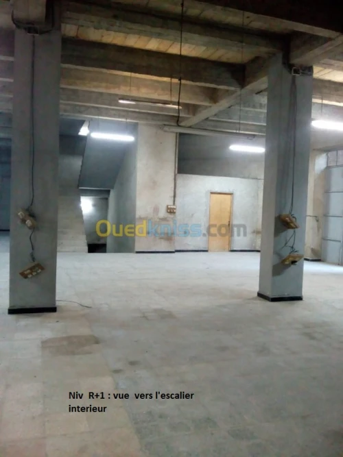 Vente Immeuble Alger Bouzareah