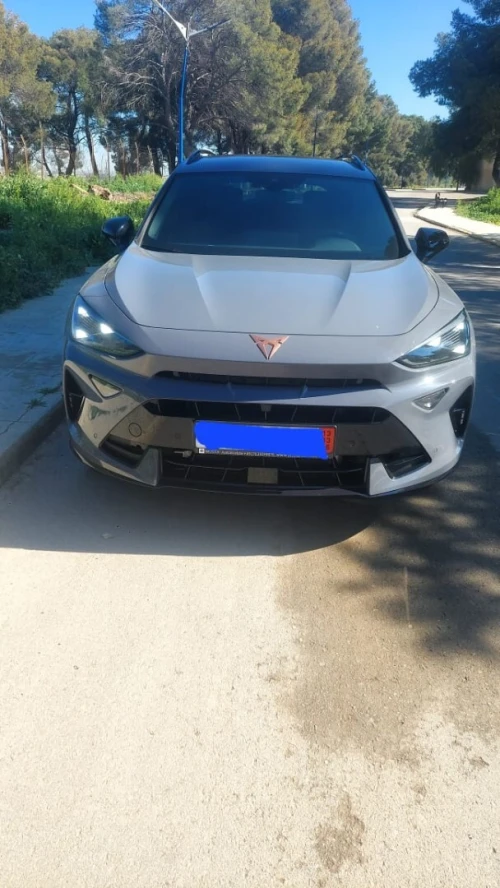 Cupra  formentor 2025 2025 formentor