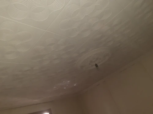 Vente Bungalow Constantine Constantine