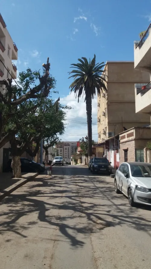 Vente Terrain Alger Cheraga