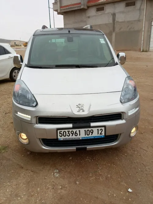 Peugeot Partner 2009 Tepee Allure 