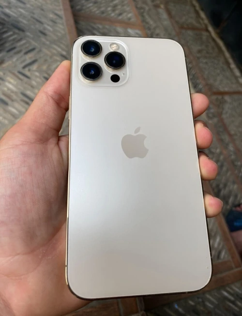 Appel Iphon 12 pro max