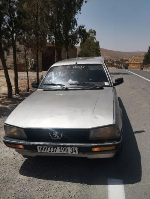 Peugeot 505 1990 505