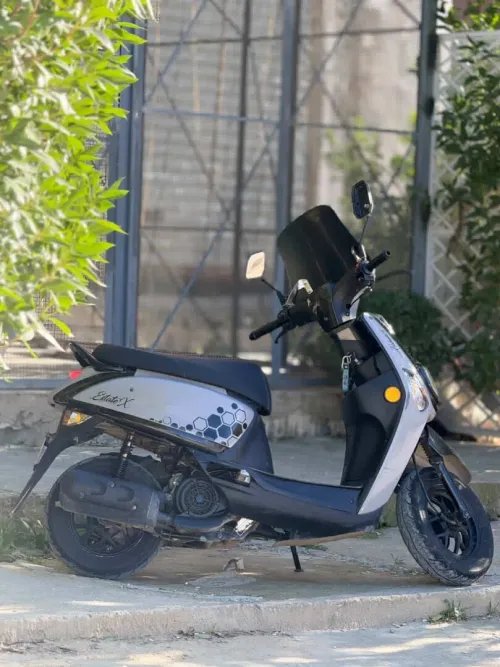 Vms Estat x 2025
