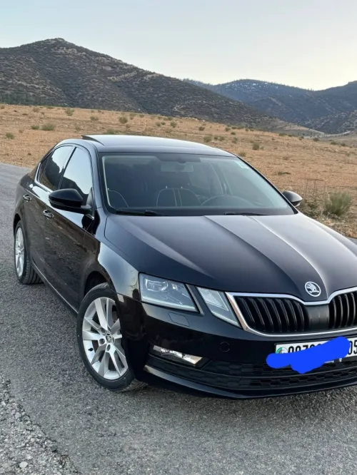 Skoda Octavia 2018 Clever