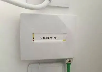 Pto optique 