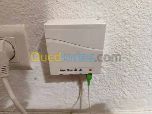 Pto optique 