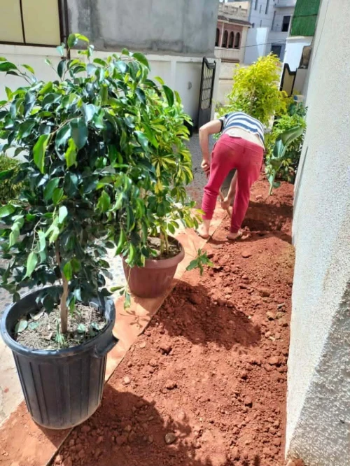 Arbres & plantes espace vert