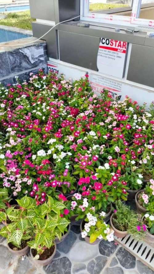 Arbres & plantes espace vert