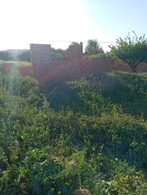 Vente Terrain Tlemcen Tlemcen