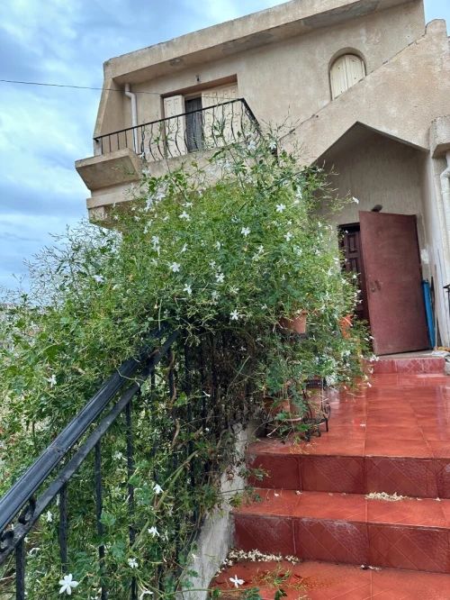 Vente Villa Alger Bouzareah