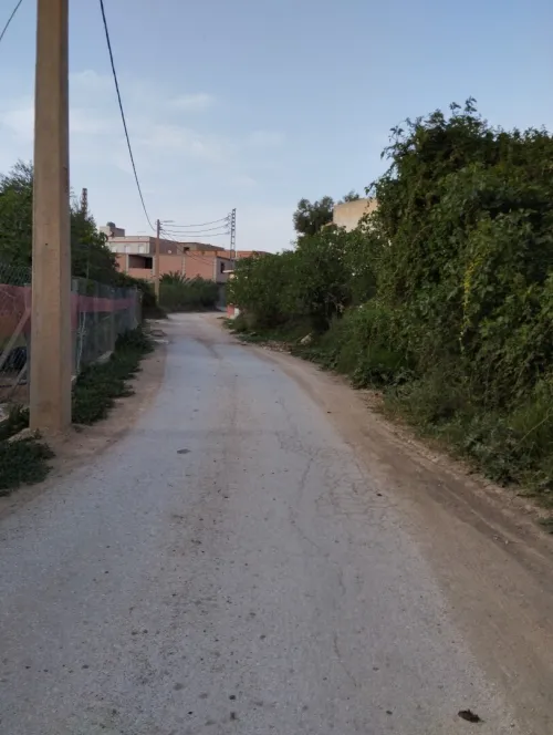 Vente Terrain Tlemcen Chetouane