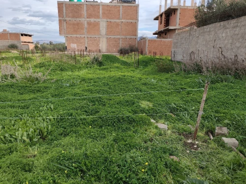 Vente Terrain Blida Ouled selama