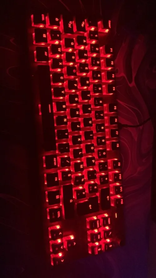 Keyboard turtle beach red switch
