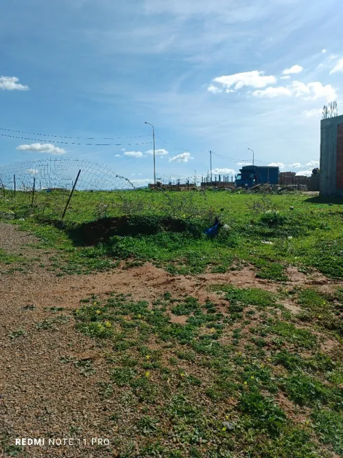 Vente Terrain Boumerdès Ouled moussa