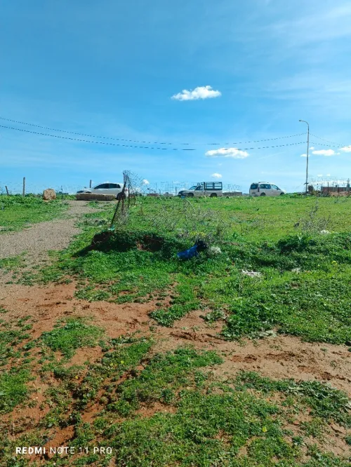 Vente Terrain Boumerdès Ouled moussa