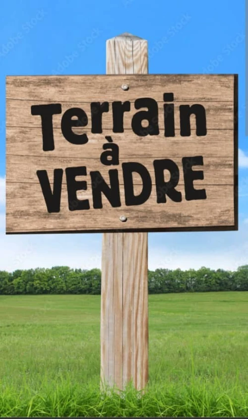 Vente Terrain Alger Les eucalyptus