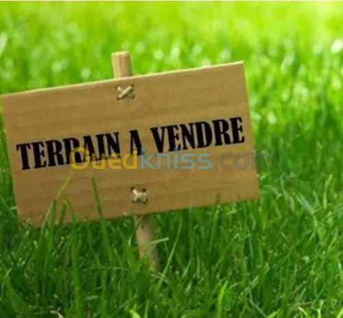 Vente Terrain Alger Draria