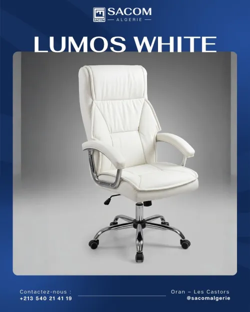 Fauteuil Directionnel