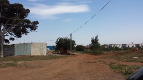 Vente Terrain Oran Hassi mefsoukh