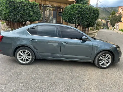 Skoda Octavia 2019 Clever